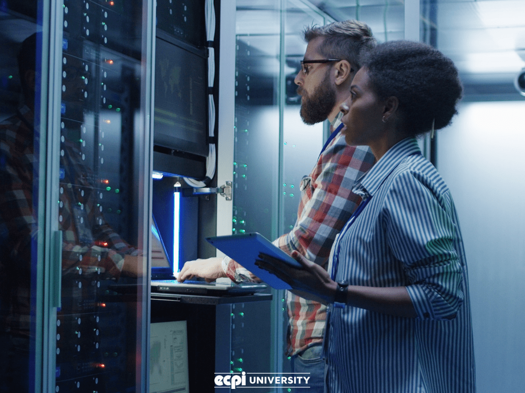 Information Systems Degree Jobs to Look Into!